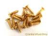 15 LES PAUL PICKGUARD SCREWS GOLD